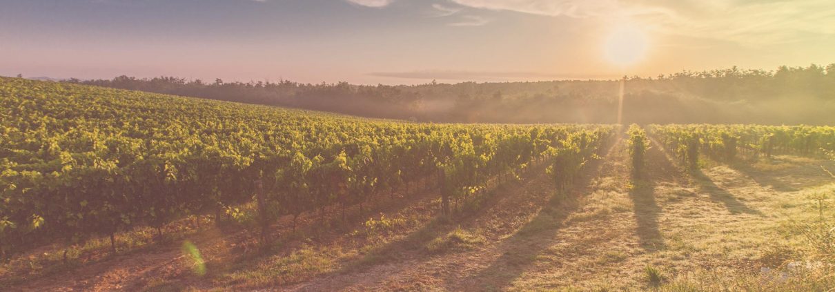 image ambiance berthoud