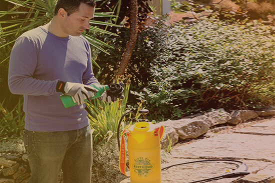 Image ambiance pulvérisateurs jardin et bricolage