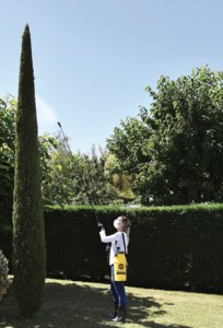 101755_ELYTE 8 ULTRA MAX_BD (1)